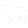 Equine & Livestock Care