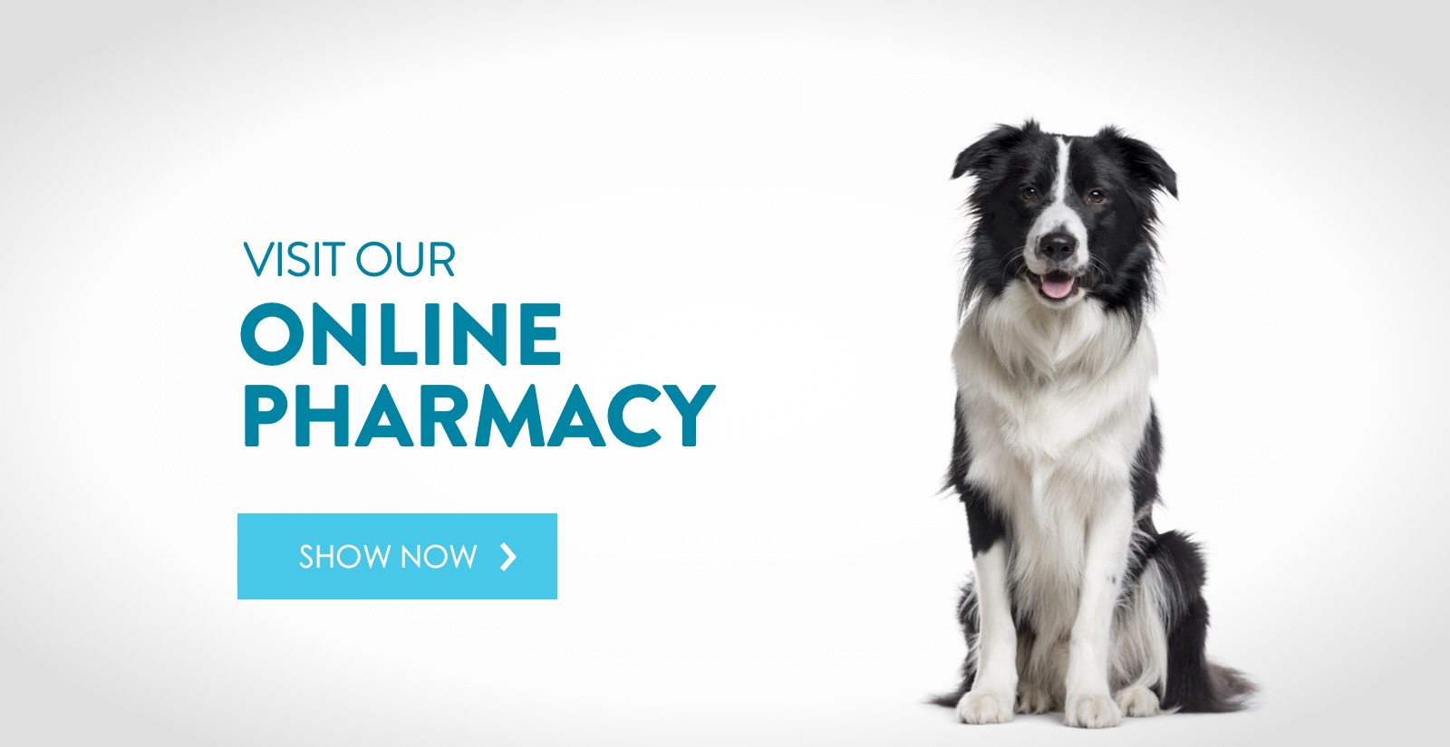 Online best sale pet pharmacies