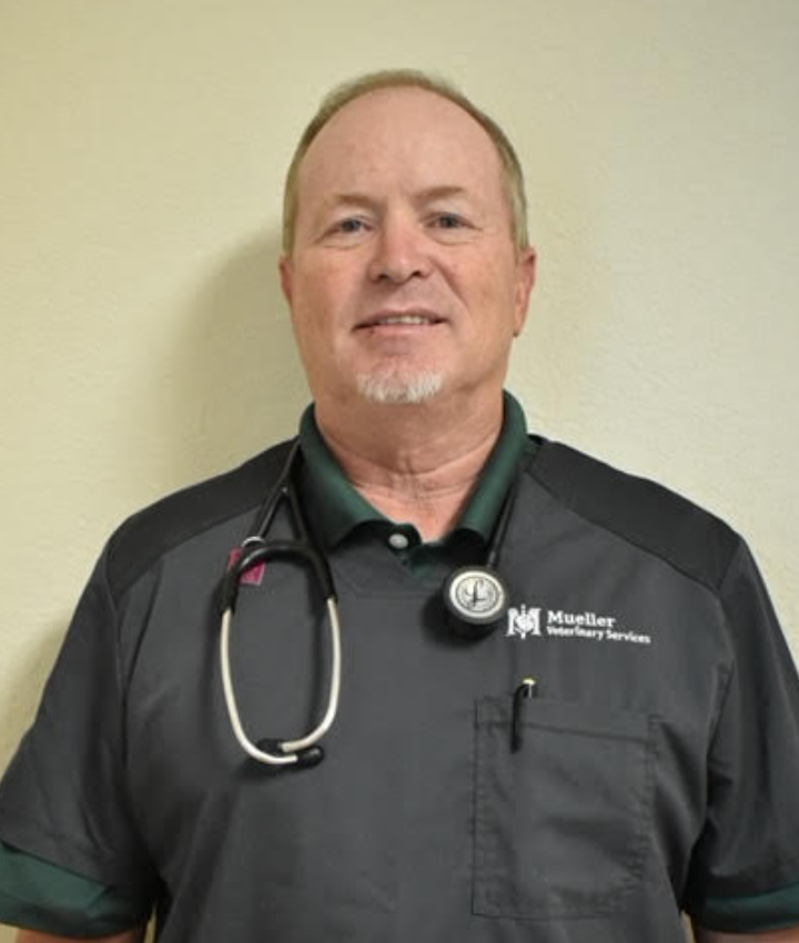 Dr. Allen Mueller, DVM